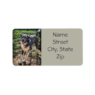 Labradoodle Return Address Label