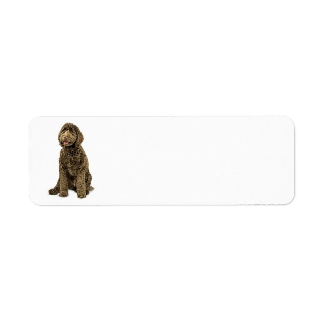 Labradoodle Return Address Label (Front)