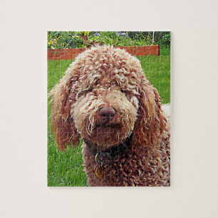 Labradoodle "Stella" Puzzle