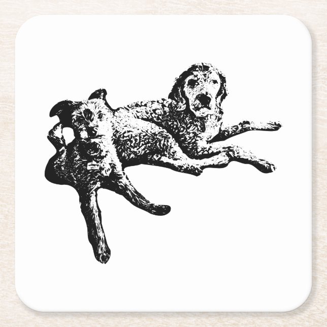  Labradoodle & Terrier Duo Ink Art Coaster (Front)