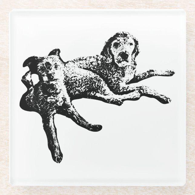  Labradoodle & Terrier Duo Ink Art Coaster (Front)