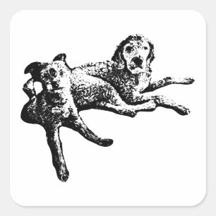 Labradoodle & Terrier Duo Ink Art Sticker