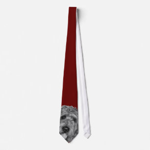 Labradoodle Tie