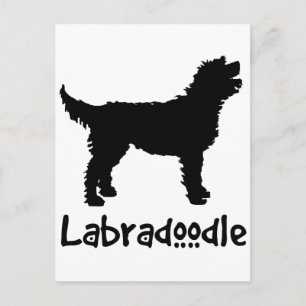 Labradoodle w/ Cool Text Postcard