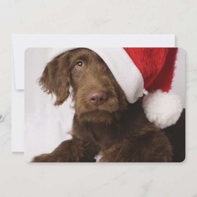 Labradoodle wearing a Santa hat Holiday Card (Front)