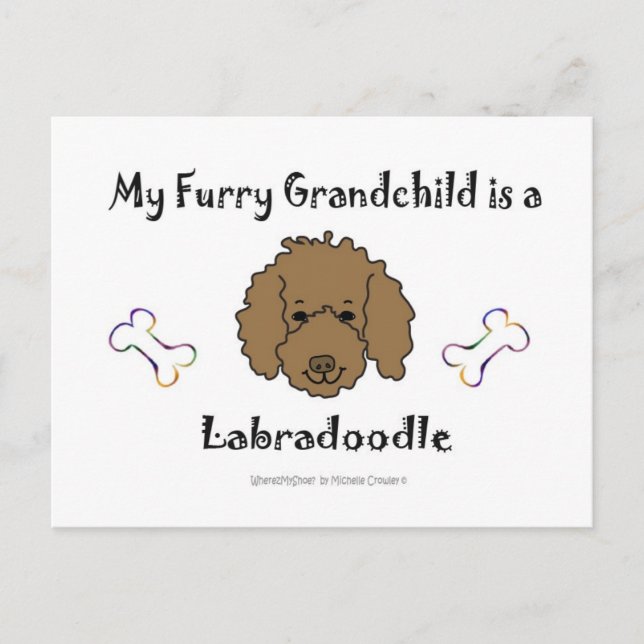 LabradoodleChocolate Postcard (Front)