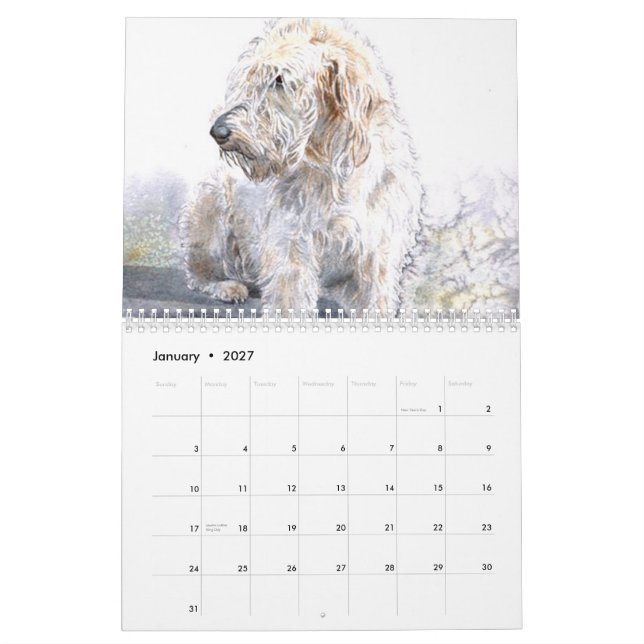 Labradoodles Calendar (Jan 2027)