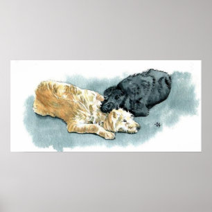 Labradoodles in Love Canvas Print