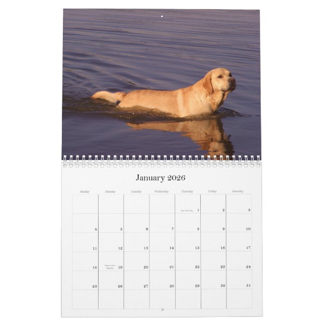 Labrador 2009 calendar (Jan 2026)