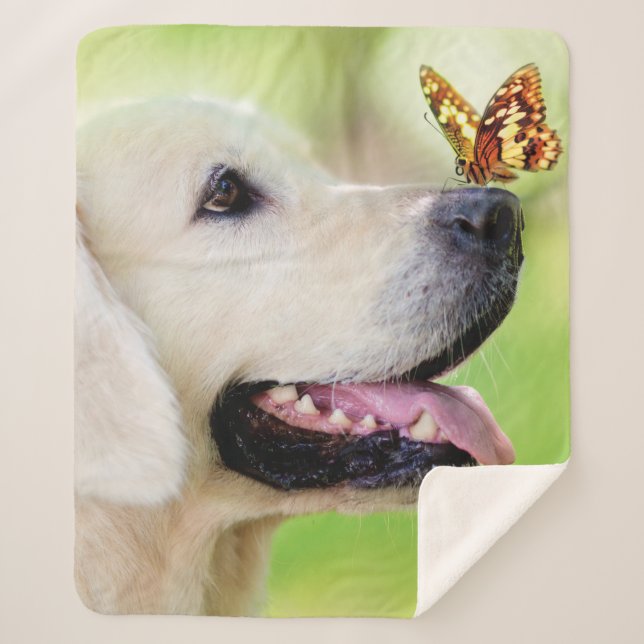 Labrador And Butterfly Throw Pillow (Front)