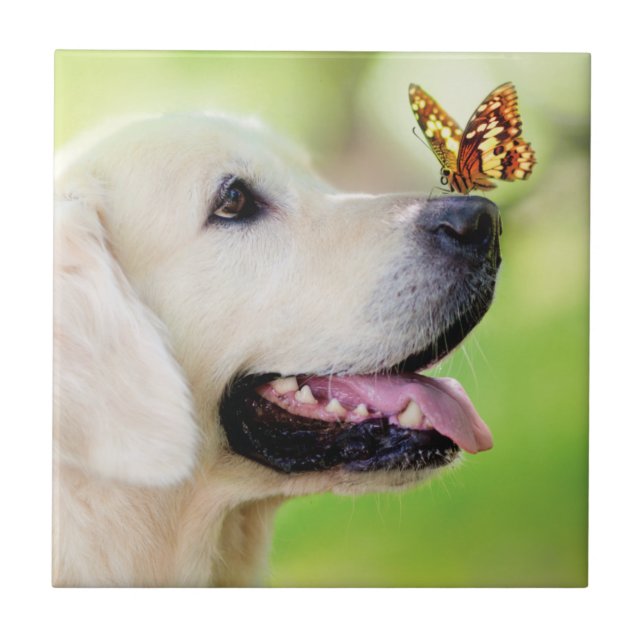 Labrador And Butterfly Throw Pillow Ceramic Tile (Front)