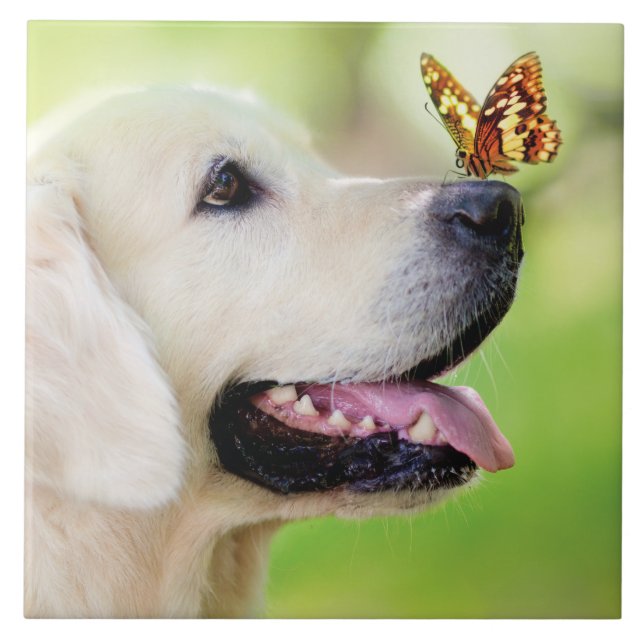 Labrador And Butterfly Throw Pillow Ceramic Tile (Front)