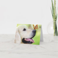 Labrador And Butterfly Throw Pillow