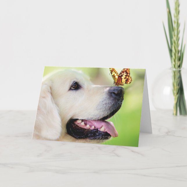 Labrador And Butterfly Throw Pillow Invitation (Front)