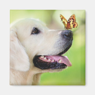 Labrador And Butterfly Throw Pillow Magnet