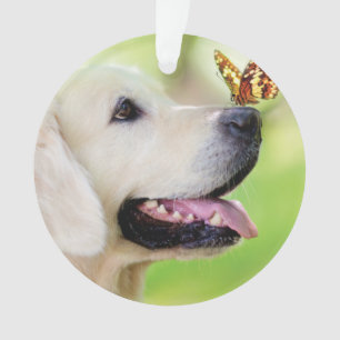 Labrador And Butterfly Throw Pillow Ornament