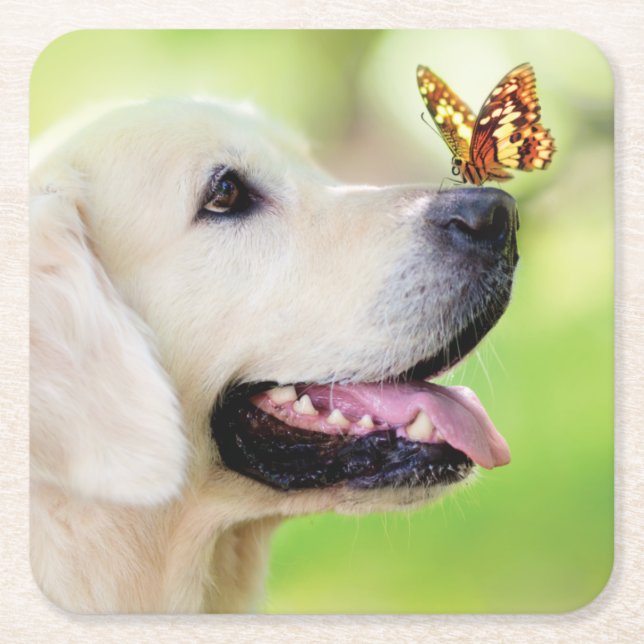 Labrador And Butterfly Throw Pillow Square Paper Coaster (Front)