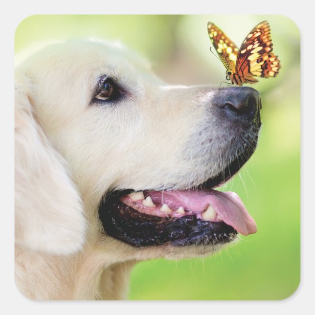 Labrador And Butterfly Throw Pillow Square Sticker (Front)