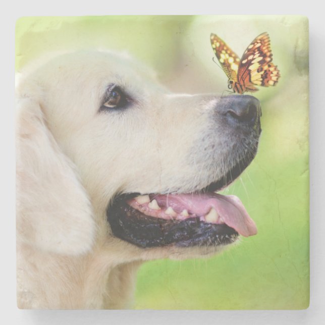 Labrador And Butterfly Throw Pillow Stone Coaster (Front)