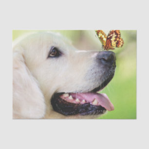 Labrador And Butterfly Throw Pillow Tissue Paper