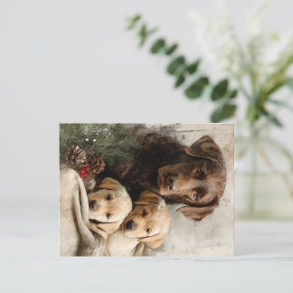 Labrador and Puppies Vintage Christmas Holiday Postcard