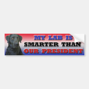 Labrador bumper sticker