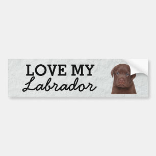 Labrador bumper sticker