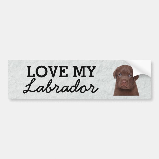 Labrador bumper sticker (Front)