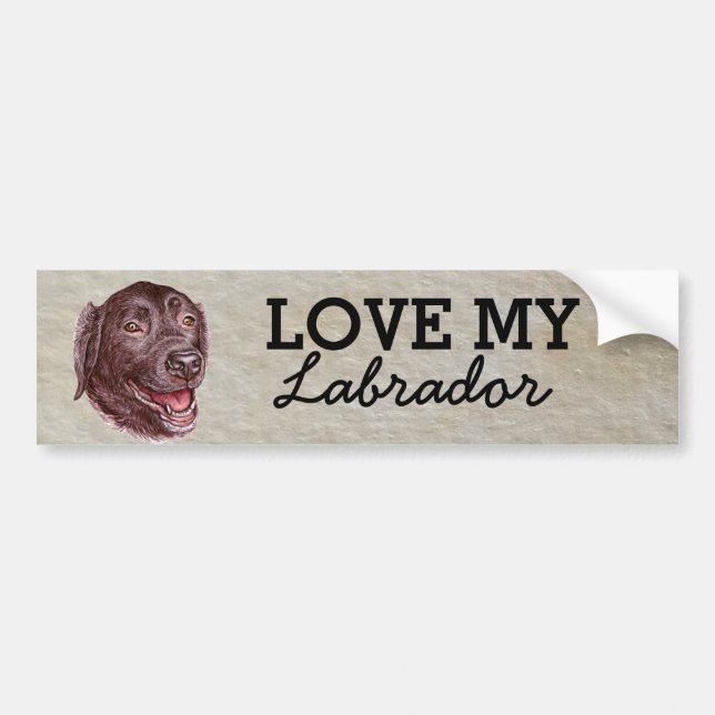 Labrador Bumper Sticker (Front)