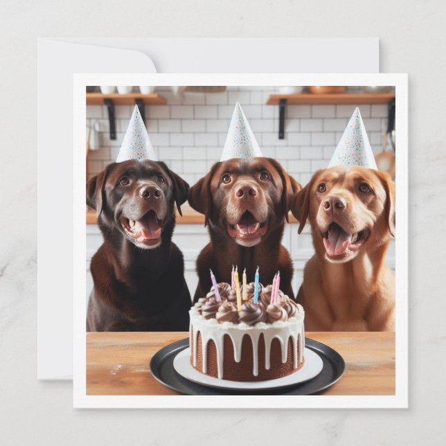 Labrador card, Labrador birthday card, Dog  Invitation (Front)
