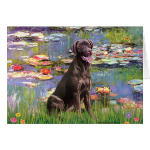 Labrador (Chcolate) - Lilies 2