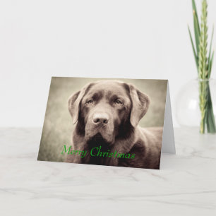 Labrador - Chocolate Holiday Card