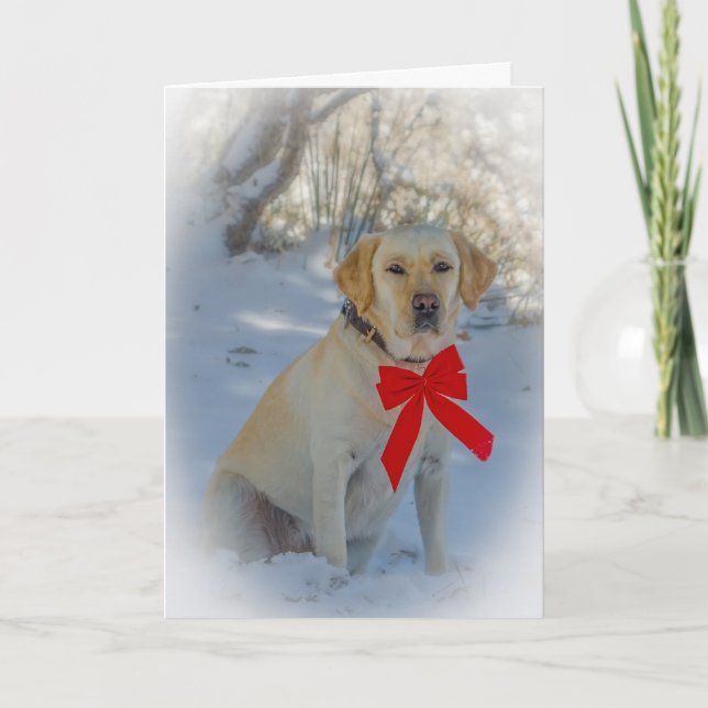 Labrador Christmas Card (Front)