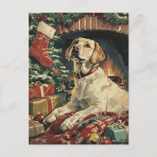 Labrador Christmas  Postcard (Front)