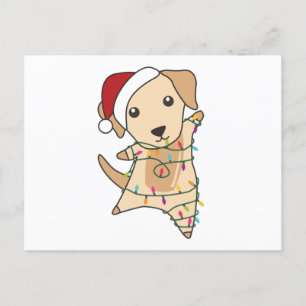 Labrador Christmas Snow Winter Animals Dogs Postcard