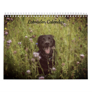 Labrador Custom Year Calendar