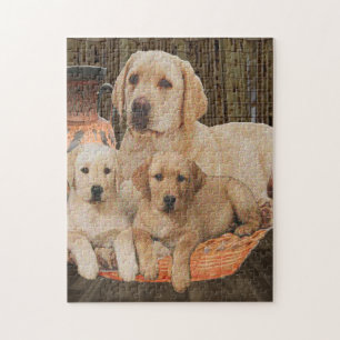 labrador cute puppies jigsaw puzzle