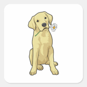 Labrador Daisy Square Sticker