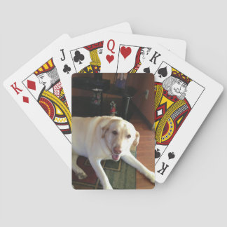 Labrador Deck of Cards