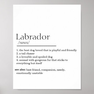 Labrador Definition  Poster