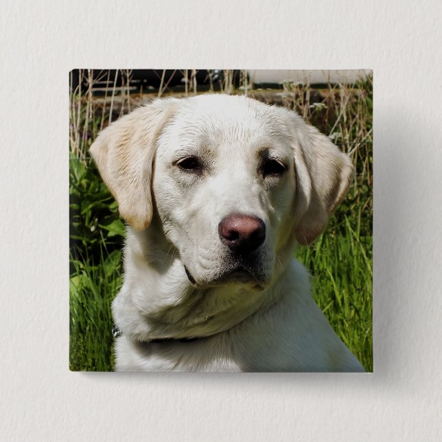 LABRADOR DOG 15 CM SQUARE BADGE (Front)