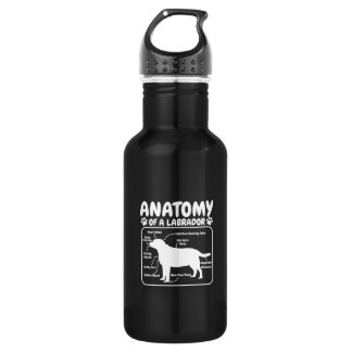 Labrador Dog Anatomy 532 Ml Water Bottle