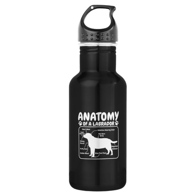 Labrador Dog Anatomy 532 Ml Water Bottle (Front)