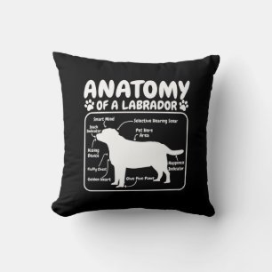 Labrador Dog Anatomy Cushion