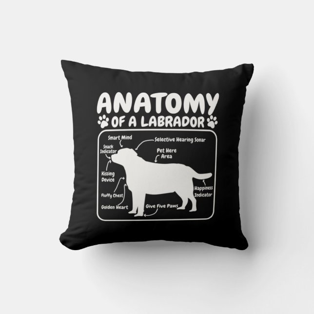 Labrador Dog Anatomy Cushion (Front)
