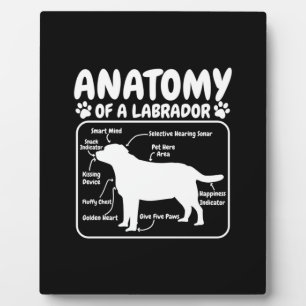 Labrador Dog Anatomy Plaque