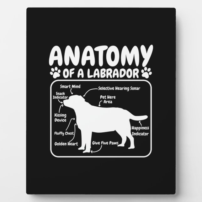 Labrador Dog Anatomy Plaque (Front)
