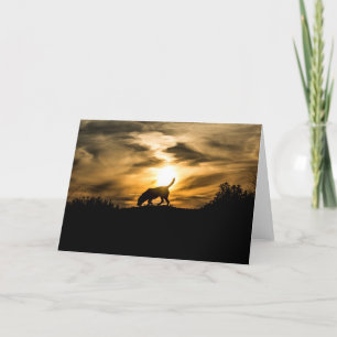 Labrador Dog at Sunset Greetings Card
