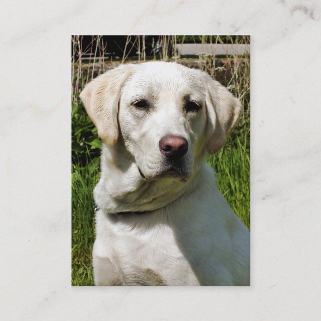 LABRADOR DOG BUSINESS CARD (Front)