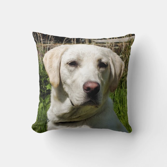 LABRADOR DOG CUSHION (Front)